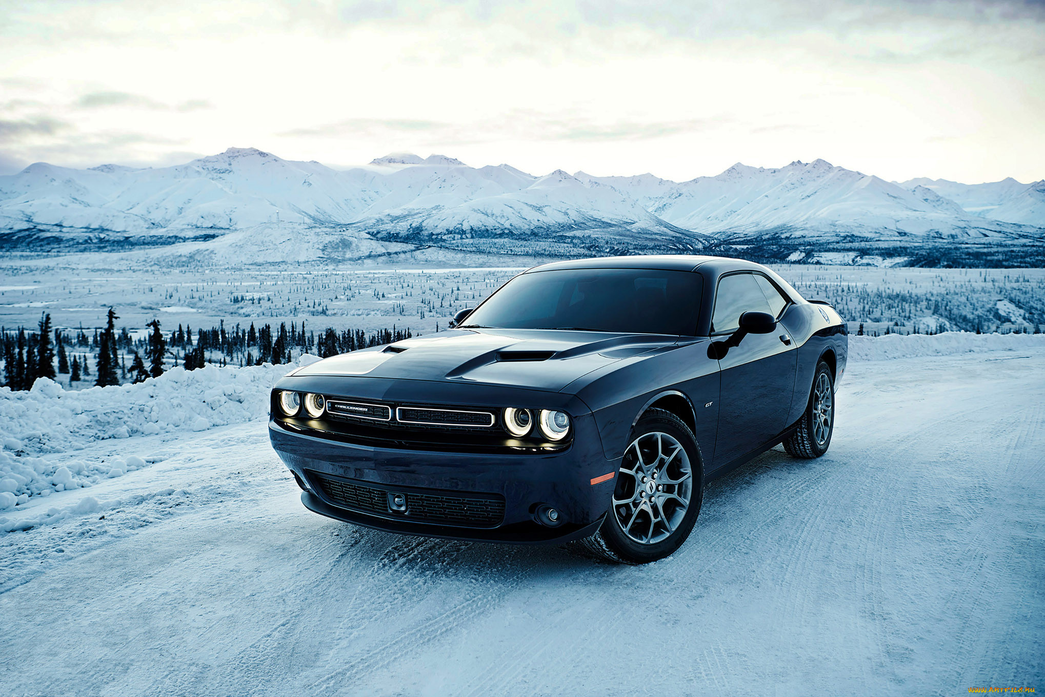 , dodge